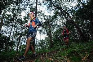 BIB: 
                            <button type="button" onclick="openModal(22569808)" class="btn btn-primary btn-sm float-right btn-popup" data-toggle="modal" data-target=".modal-high-quality">
                        <i class="fas fa-shopping-cart"></i> Add to Cart
                    </button>
                                            <button type="button" onclick="isThisMe(22569808, true)" class="btn btn-success btn-sm float-right btn-popup btn-isme hidden" data-toggle="tooltip" data-placement="bottom" title="นี่คือรูปของคุณใช่ไหม คลิกที่นี่เพื่อเอาเข้าอัลบั้ม">
                        <i class="fas fa-plus"></i> Add to album
                    </button>
                    <button type="button" onclick="isThisMe(22569808, false)" class="btn btn-warning btn-sm float-right btn-popup btn-isnotme hidden">
                        <i class="fas fa-ban"></i> Remove from album
                    </button>